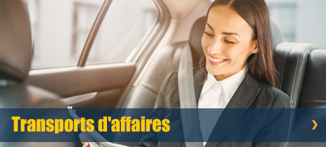 Transports d affaires taxi perino